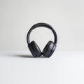 Headphone (Brand:- Mobile World)